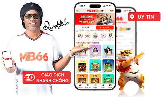 Dealer trực tiếp chuyên nghiệp tại Baowin