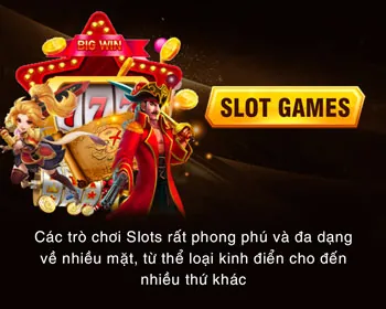Cấp độ VIP Bạch Kim Baowin